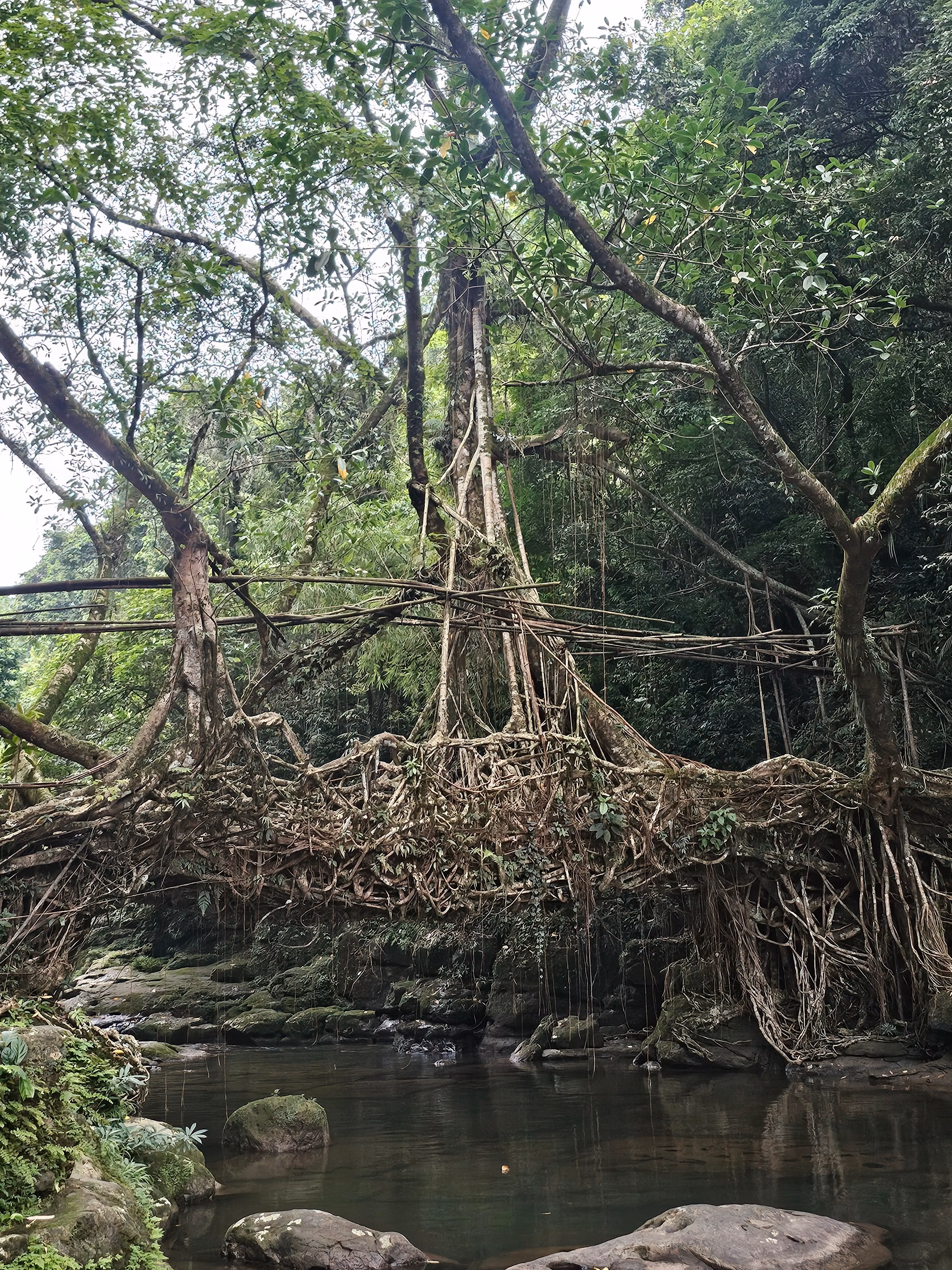 Meghalaya